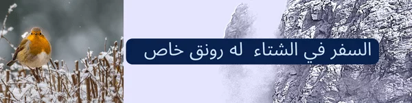 اكتشف أجمل الوجهات الشتوية في عام 2024. 20 الوجهات الشتوية 1